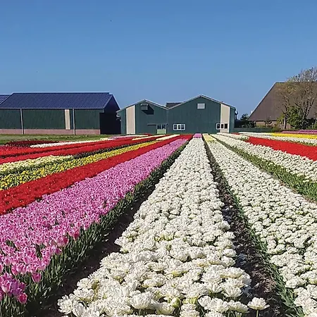 Vrij-uitzicht Slootdorp