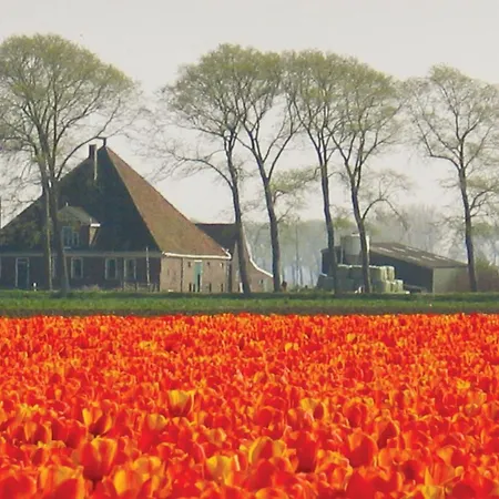 Vrij-uitzicht 度假居