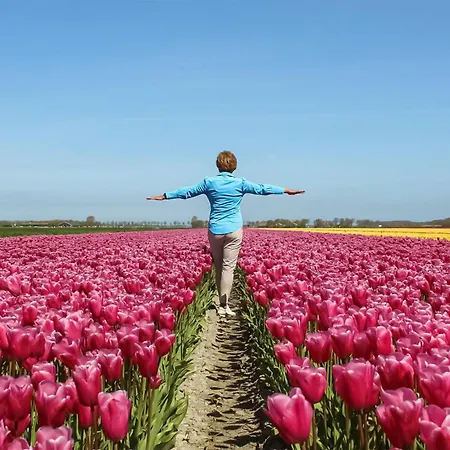 Vrij-uitzicht 度假居 Slootdorp